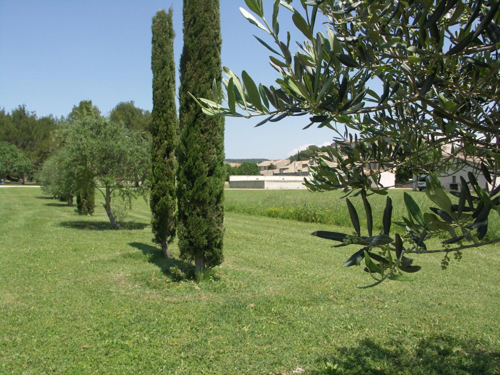 Domaine Saint Martin Hotel Valliguieres Exterior foto